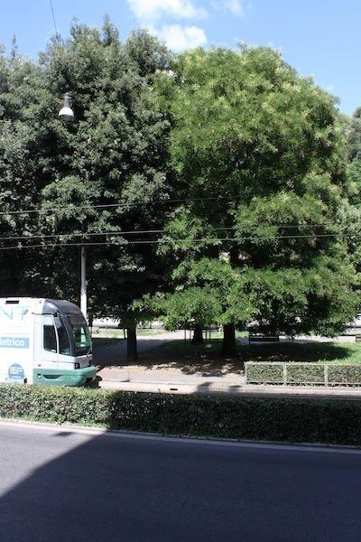 Maison Yassi Piazza Del Popolo Roma Oda fotoğraf